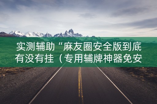 实测辅助“麻友圈安全版到底有没有挂（专用辅牌神器免安装）