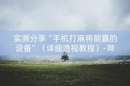 实测分享“手机打麻将能赢的设备”（详细透视教程）-哔哩哔哩