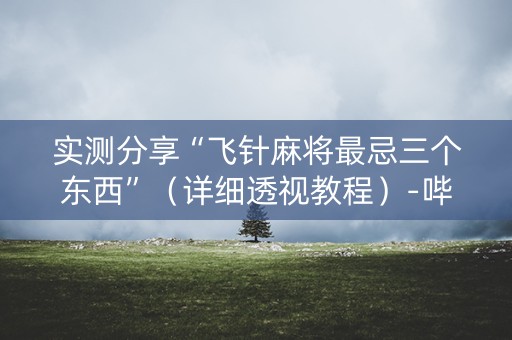 实测分享“飞针麻将最忌三个东西”（详细透视教程）-哔哩哔哩