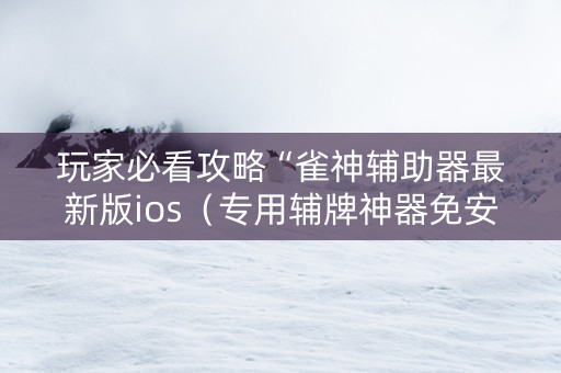 玩家必看攻略“雀神辅助器最新版ios（专用辅牌神器免安装）
