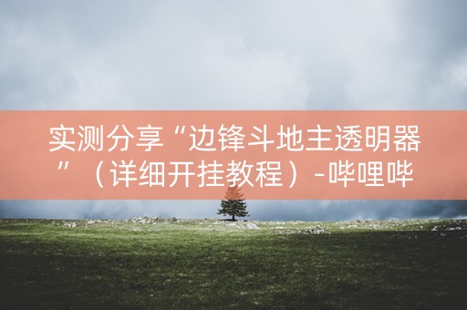 实测分享“边锋斗地主透明器”（详细开挂教程）-哔哩哔哩