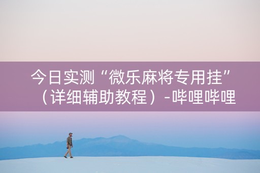 今日实测“微乐麻将专用挂”（详细辅助教程）-哔哩哔哩