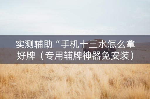 实测辅助“手机十三水怎么拿好牌（专用辅牌神器免安装）