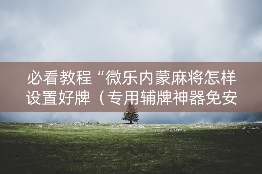 必看教程“微乐内蒙麻将怎样设置好牌（专用辅牌神器免安装）