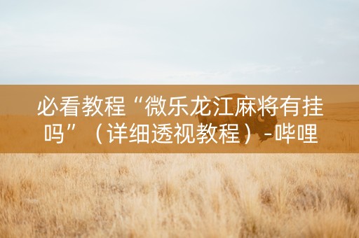 必看教程“微乐龙江麻将有挂吗”（详细透视教程）-哔哩哔哩