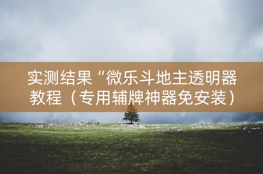 实测结果“微乐斗地主透明器教程（专用辅牌神器免安装）