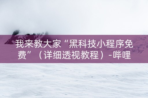 我来教大家“黑科技小程序免费”（详细透视教程）-哔哩哔哩