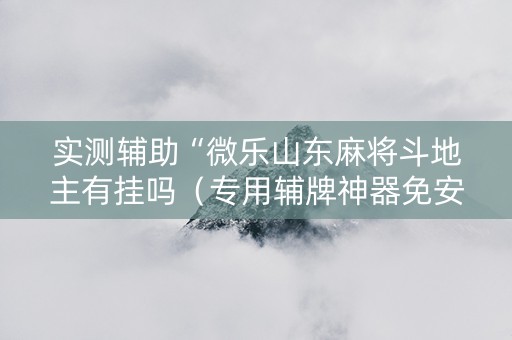 实测辅助“微乐山东麻将斗地主有挂吗（专用辅牌神器免安装）