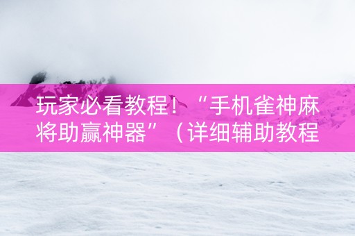 玩家必看教程！“手机雀神麻将助赢神器”（详细辅助教程）-哔哩哔哩