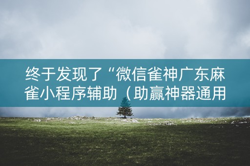 终于发现了“微信雀神广东麻雀小程序辅助（助赢神器通用版）