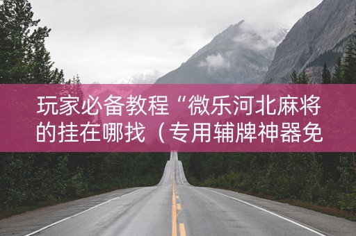 玩家必备教程“微乐河北麻将的挂在哪找（专用辅牌神器免安装）