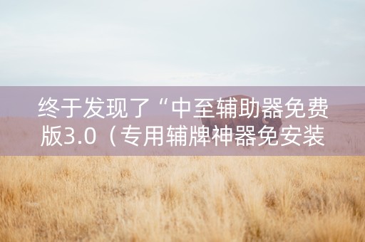 终于发现了“中至辅助器免费版3.0（专用辅牌神器免安装）