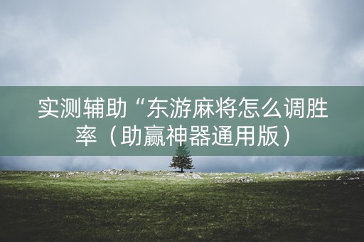 实测辅助“东游麻将怎么调胜率（助赢神器通用版）