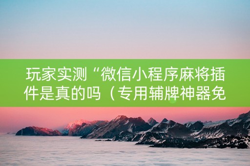 玩家实测“微信小程序麻将插件是真的吗（专用辅牌神器免安装）