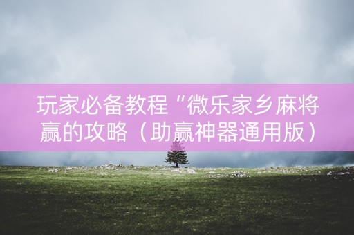 玩家必备教程“微乐家乡麻将赢的攻略（助赢神器通用版）