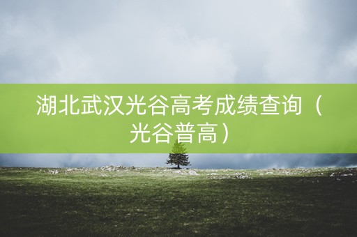 湖北武汉光谷高考成绩查询（光谷普高）