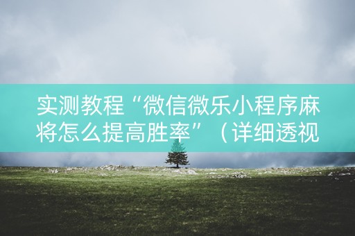 实测教程“微信微乐小程序麻将怎么提高胜率”（详细透视教程）-哔哩哔哩