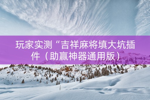 玩家实测“吉祥麻将填大坑插件（助赢神器通用版）