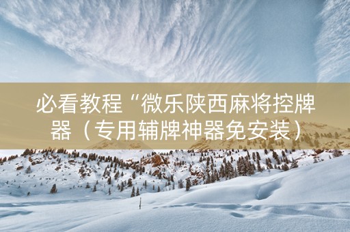 必看教程“微乐陕西麻将控牌器（专用辅牌神器免安装）