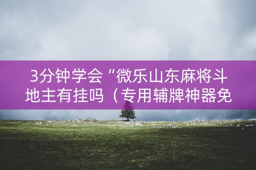 3分钟学会“微乐山东麻将斗地主有挂吗（专用辅牌神器免安装）
