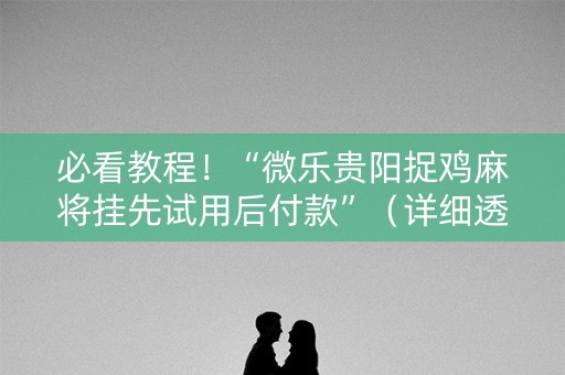 必看教程！“微乐贵阳捉鸡麻将挂先试用后付款”（详细透视教程）-哔哩哔哩