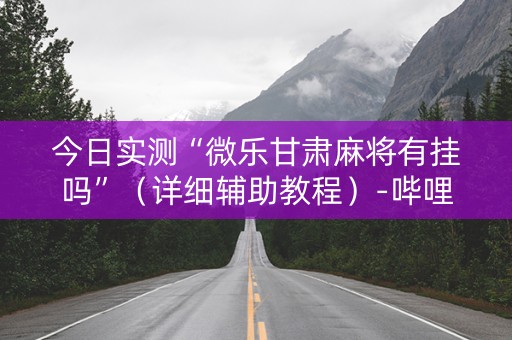 今日实测“微乐甘肃麻将有挂吗”（详细辅助教程）-哔哩哔哩