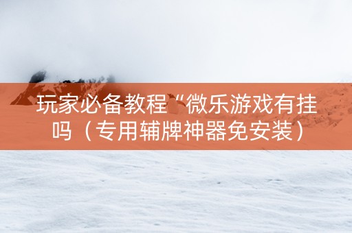玩家必备教程“微乐游戏有挂吗（专用辅牌神器免安装）