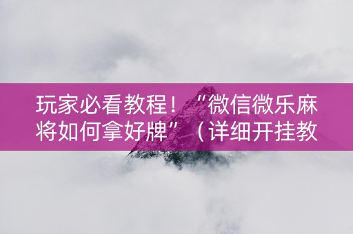 玩家必看教程！“微信微乐麻将如何拿好牌”（详细开挂教程）-哔哩哔哩
