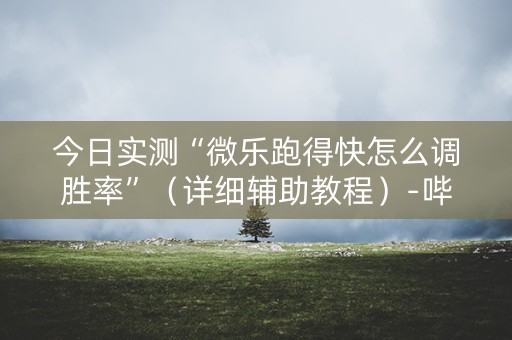 今日实测“微乐跑得快怎么调胜率”（详细辅助教程）-哔哩哔哩