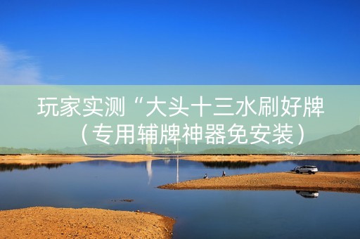 玩家实测“大头十三水刷好牌（专用辅牌神器免安装）