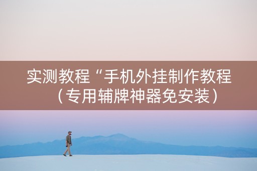 实测教程“手机外挂制作教程（专用辅牌神器免安装）