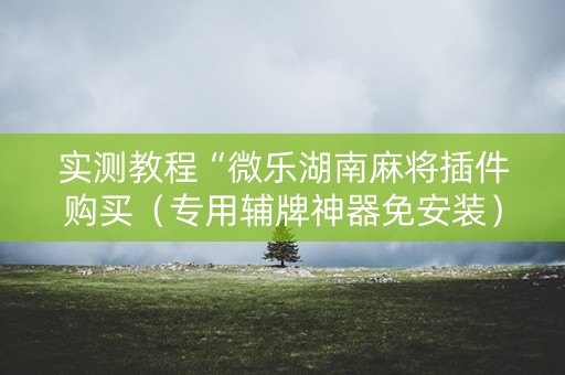 实测教程“微乐湖南麻将插件购买（专用辅牌神器免安装）