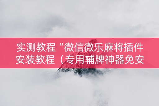 实测教程“微信微乐麻将插件安装教程（专用辅牌神器免安装）
