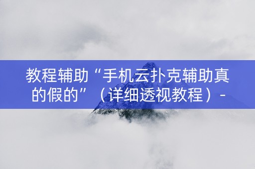 教程辅助“手机云扑克辅助真的假的”（详细透视教程）-哔哩哔哩