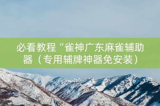必看教程“雀神广东麻雀辅助器（专用辅牌神器免安装）