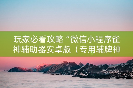 玩家必看攻略“微信小程序雀神辅助器安卓版（专用辅牌神器免安装）
