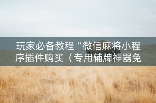 玩家必备教程“微信麻将小程序插件购买（专用辅牌神器免安装）