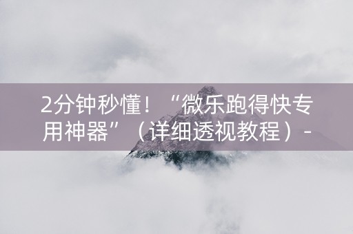 2分钟秒懂！“微乐跑得快专用神器”（详细透视教程）-哔哩哔哩