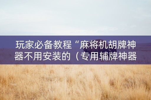 玩家必备教程“麻将机胡牌神器不用安装的（专用辅牌神器免安装）