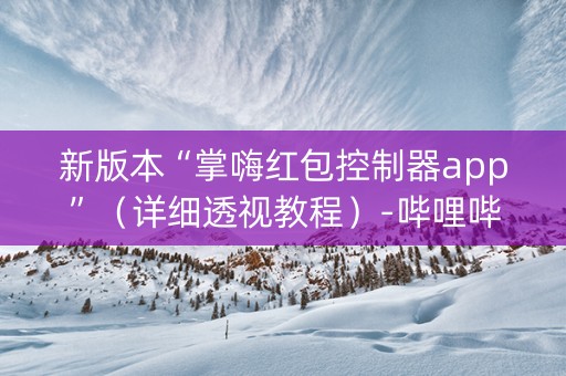 新版本“掌嗨红包控制器app”（详细透视教程）-哔哩哔哩
