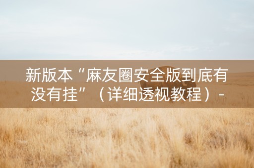 新版本“麻友圈安全版到底有没有挂”（详细透视教程）-哔哩哔哩