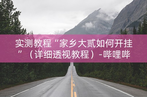 实测教程“家乡大贰如何开挂”（详细透视教程）-哔哩哔哩