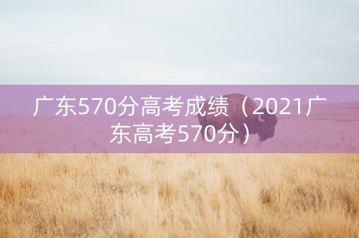 广东570分高考成绩（2021广东高考570分）