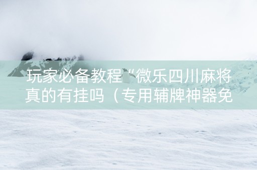 玩家必备教程“微乐四川麻将真的有挂吗（专用辅牌神器免安装）