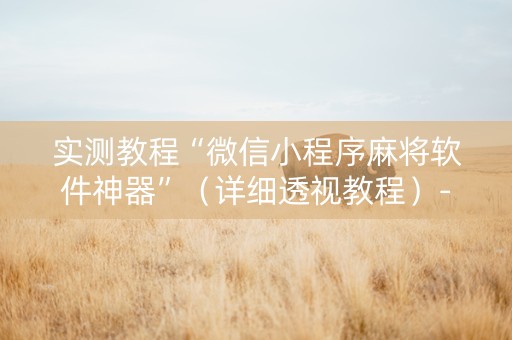 实测教程“微信小程序麻将软件神器”（详细透视教程）-哔哩哔哩