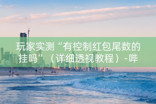 玩家实测“有控制红包尾数的挂吗”（详细透视教程）-哔哩哔哩