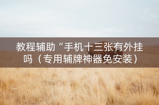 教程辅助“手机十三张有外挂吗（专用辅牌神器免安装）
