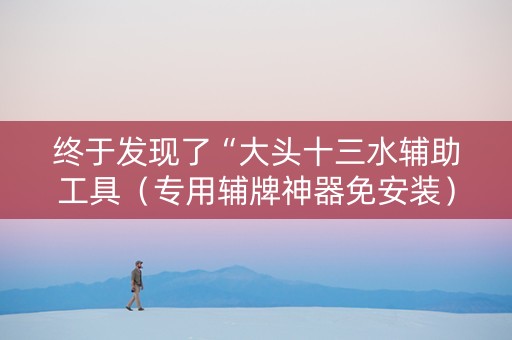 终于发现了“大头十三水辅助工具（专用辅牌神器免安装）