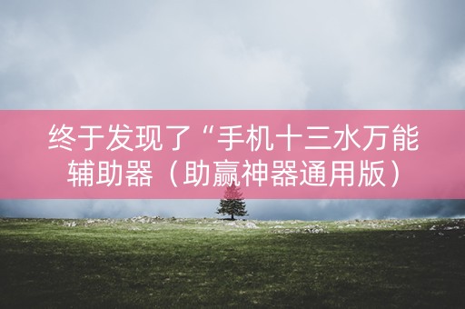 终于发现了“手机十三水万能辅助器（助赢神器通用版）