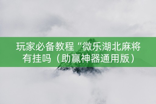 玩家必备教程“微乐湖北麻将有挂吗（助赢神器通用版）